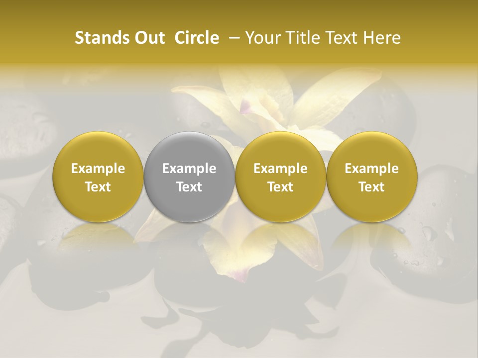 A Yellow Flower Sitting On Top Of Black Rocks PowerPoint Template