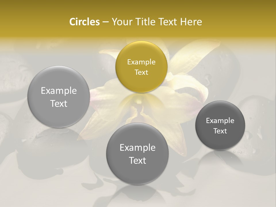 A Yellow Flower Sitting On Top Of Black Rocks PowerPoint Template