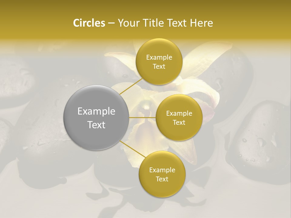 A Yellow Flower Sitting On Top Of Black Rocks PowerPoint Template