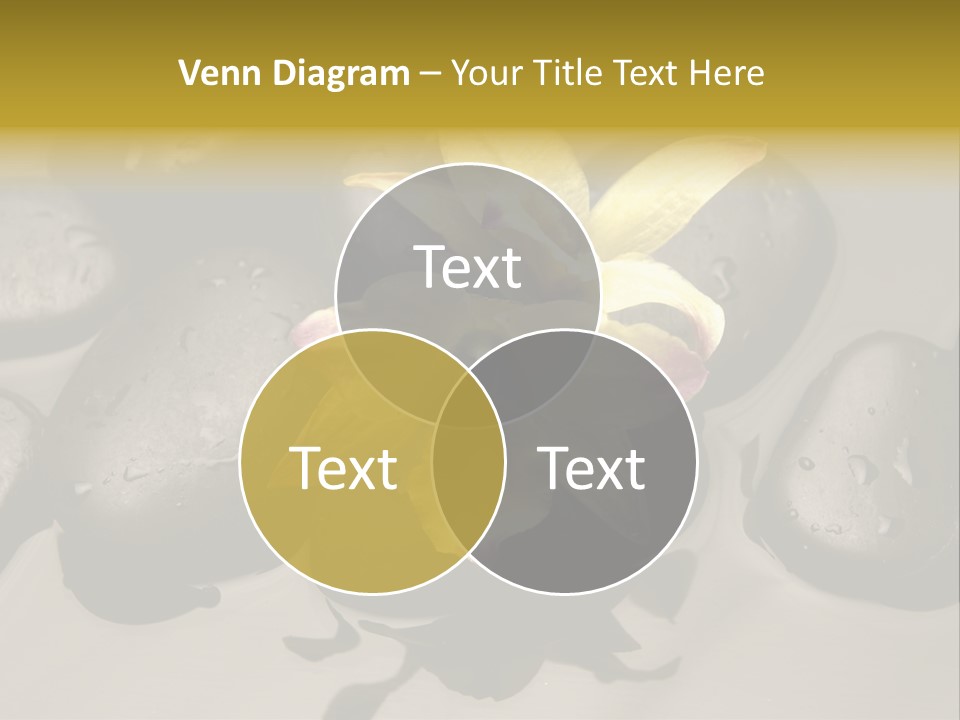 A Yellow Flower Sitting On Top Of Black Rocks PowerPoint Template