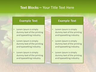 Organic Sweet Breakfast PowerPoint Template