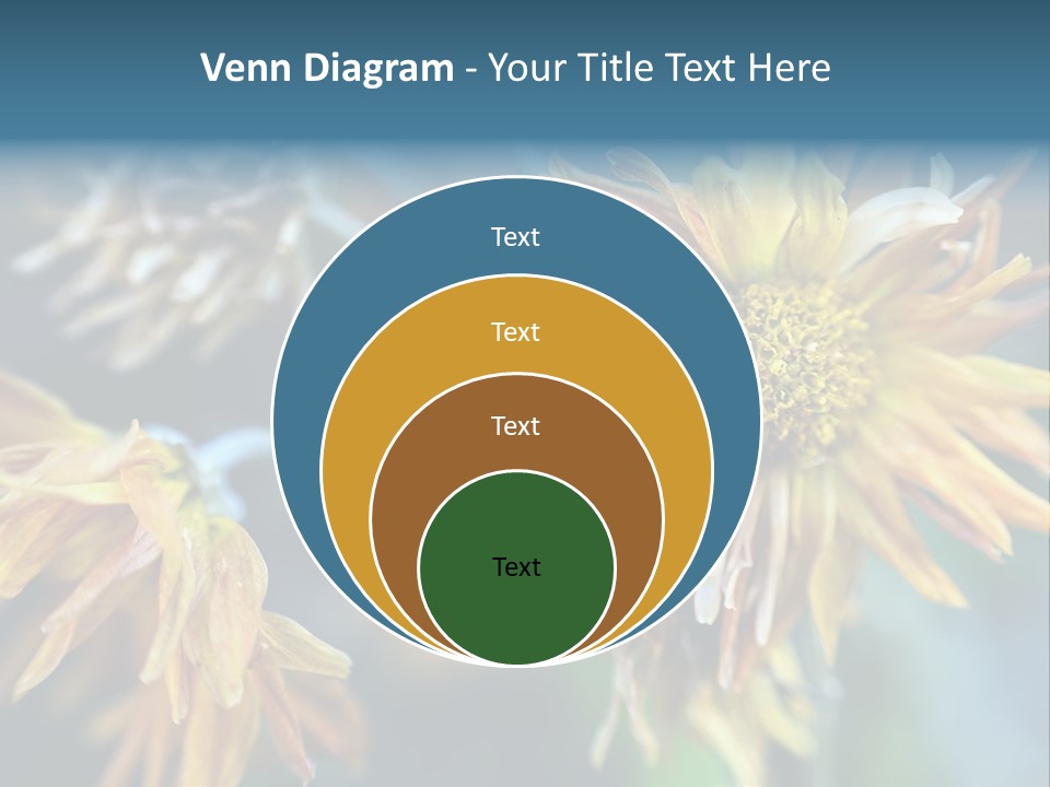 A Group Of Yellow Flowers With A Blue Background PowerPoint Template
