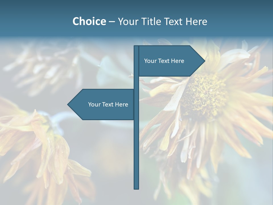 A Group Of Yellow Flowers With A Blue Background PowerPoint Template