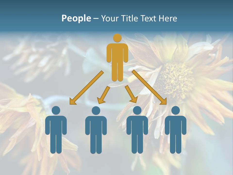 A Group Of Yellow Flowers With A Blue Background PowerPoint Template