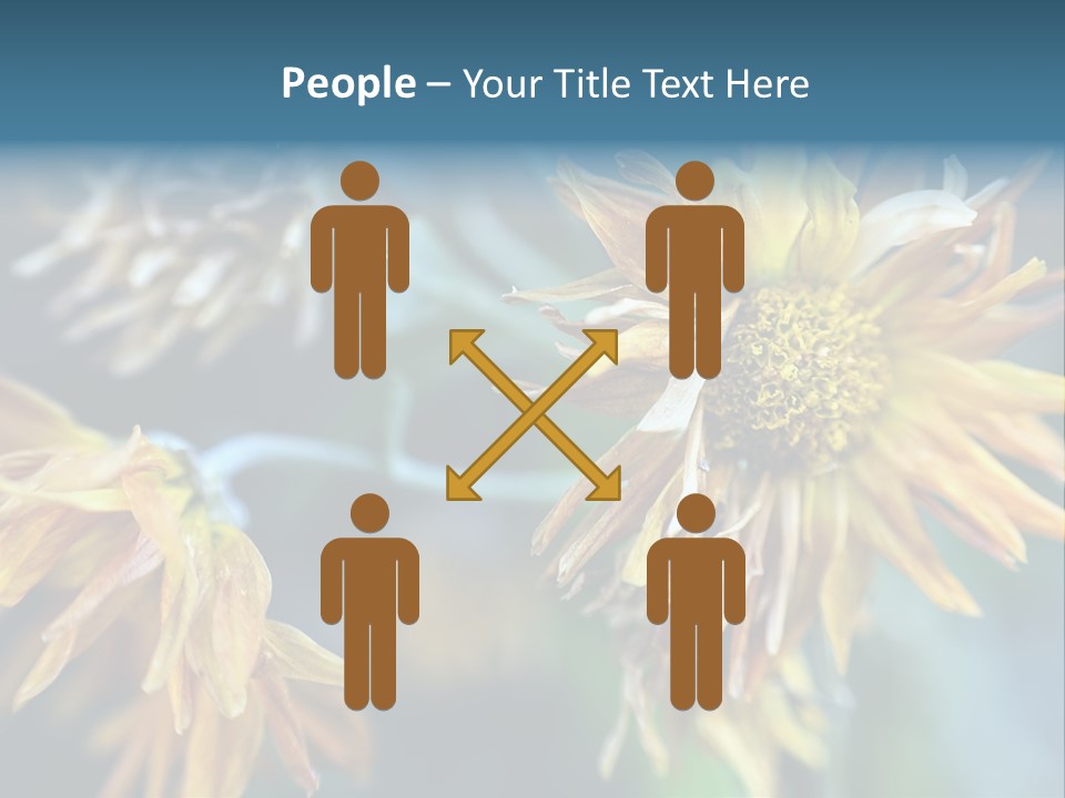 A Group Of Yellow Flowers With A Blue Background PowerPoint Template