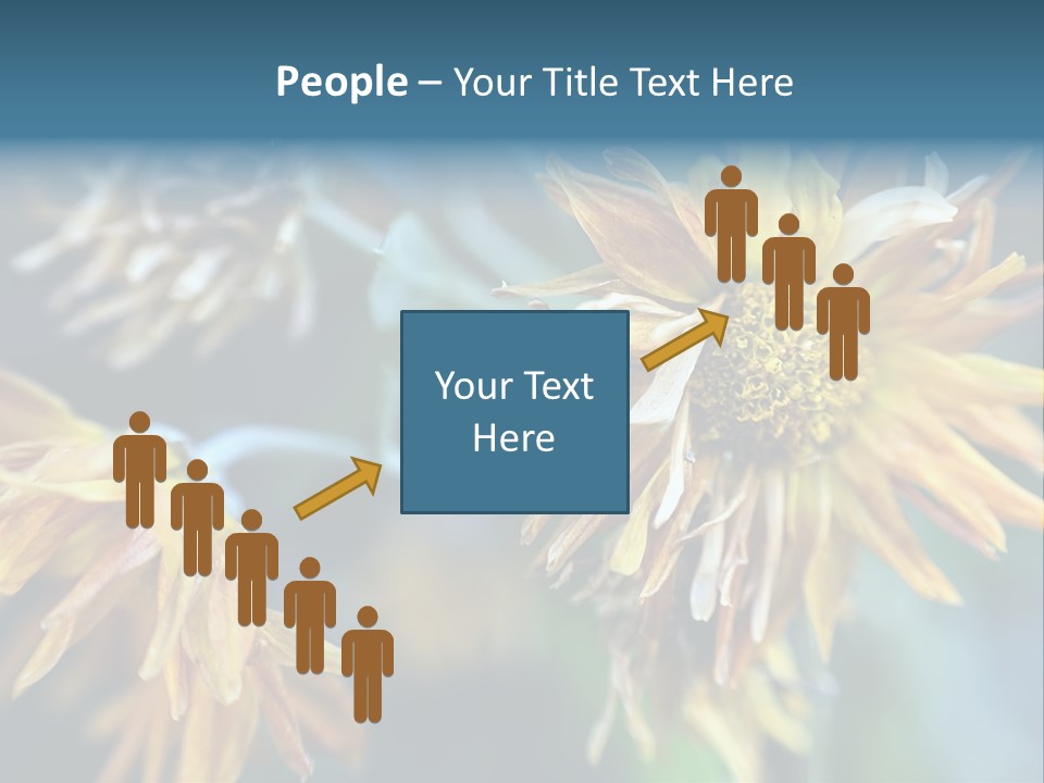 A Group Of Yellow Flowers With A Blue Background PowerPoint Template