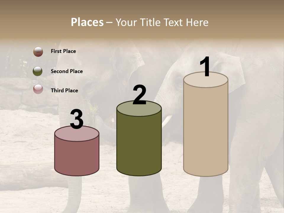 Sand Intelligent Fraternal PowerPoint Template