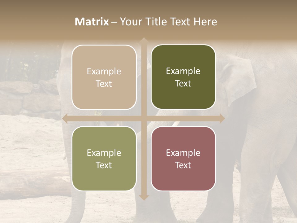 Sand Intelligent Fraternal PowerPoint Template