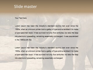 Sand Intelligent Fraternal PowerPoint Template