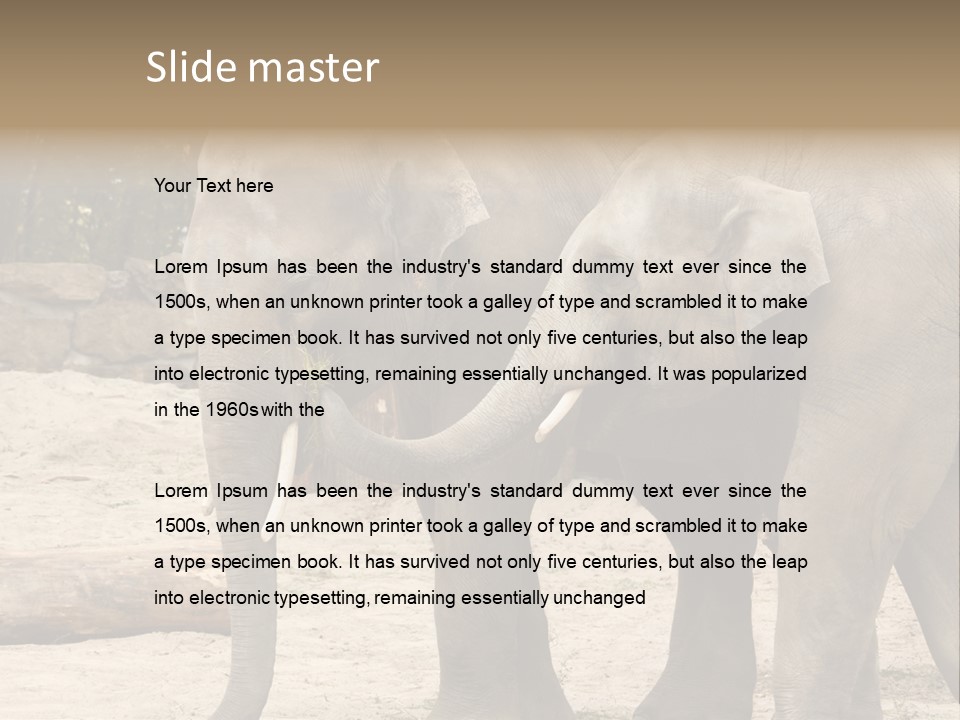 Sand Intelligent Fraternal PowerPoint Template