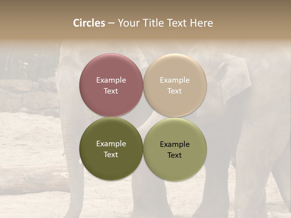 Sand Intelligent Fraternal PowerPoint Template