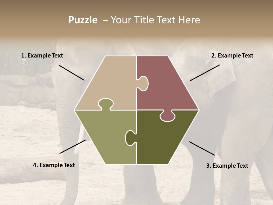 Sand Intelligent Fraternal PowerPoint Template