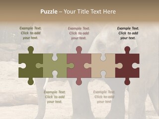 Sand Intelligent Fraternal PowerPoint Template