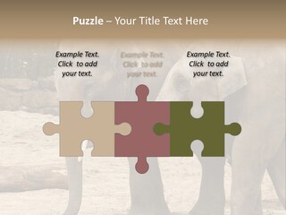 Sand Intelligent Fraternal PowerPoint Template