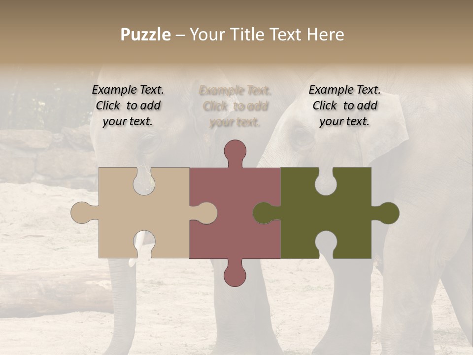 Sand Intelligent Fraternal PowerPoint Template