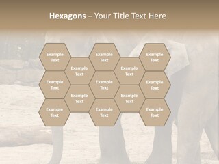 Sand Intelligent Fraternal PowerPoint Template