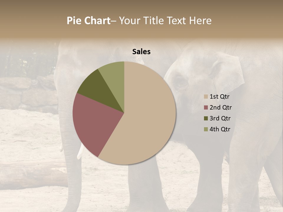 Sand Intelligent Fraternal PowerPoint Template