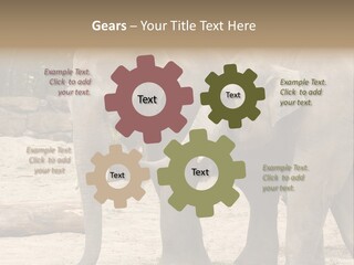 Sand Intelligent Fraternal PowerPoint Template