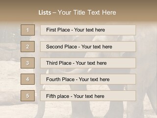 Sand Intelligent Fraternal PowerPoint Template