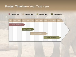 Sand Intelligent Fraternal PowerPoint Template