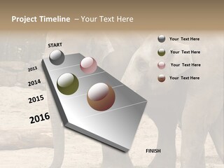 Sand Intelligent Fraternal PowerPoint Template