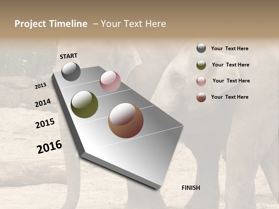 Sand Intelligent Fraternal PowerPoint Template