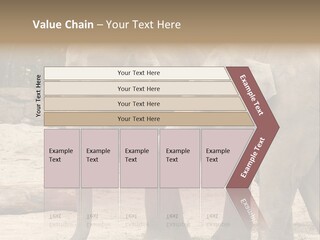 Sand Intelligent Fraternal PowerPoint Template