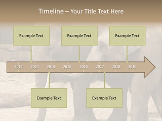 Sand Intelligent Fraternal PowerPoint Template