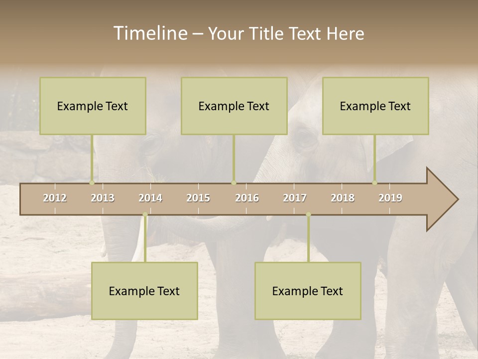 Sand Intelligent Fraternal PowerPoint Template