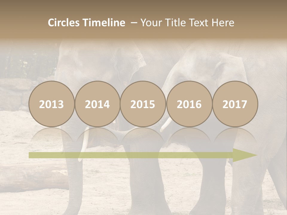 Sand Intelligent Fraternal PowerPoint Template