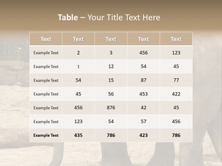 Sand Intelligent Fraternal PowerPoint Template
