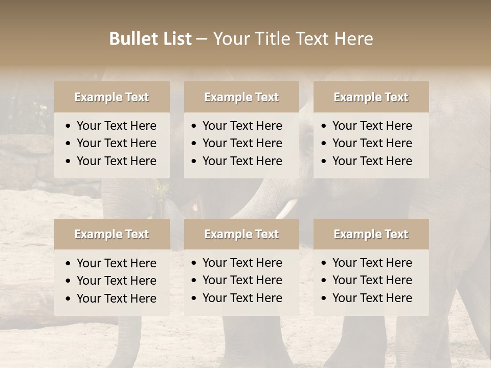 Sand Intelligent Fraternal PowerPoint Template