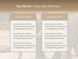 Sand Intelligent Fraternal PowerPoint Template