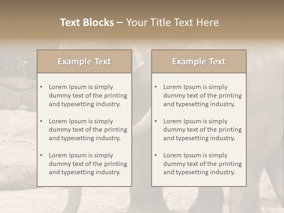 Sand Intelligent Fraternal PowerPoint Template