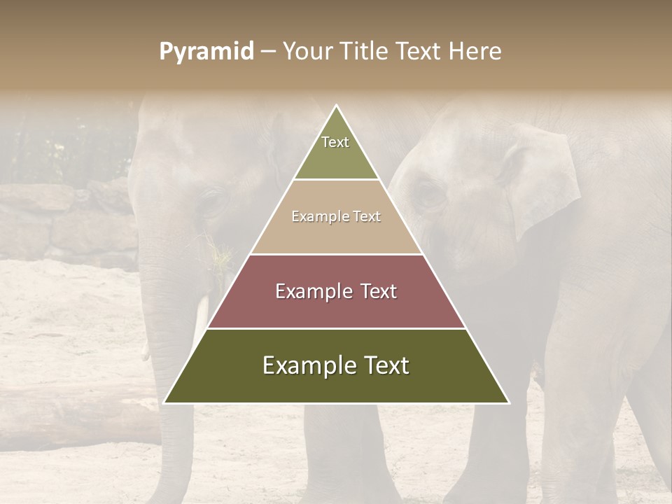 Sand Intelligent Fraternal PowerPoint Template
