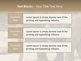Sand Intelligent Fraternal PowerPoint Template