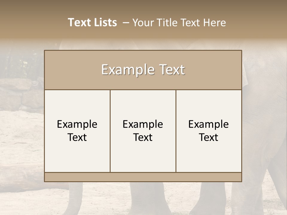 Sand Intelligent Fraternal PowerPoint Template