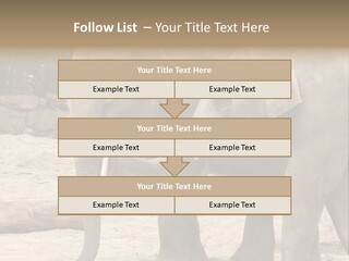 Sand Intelligent Fraternal PowerPoint Template