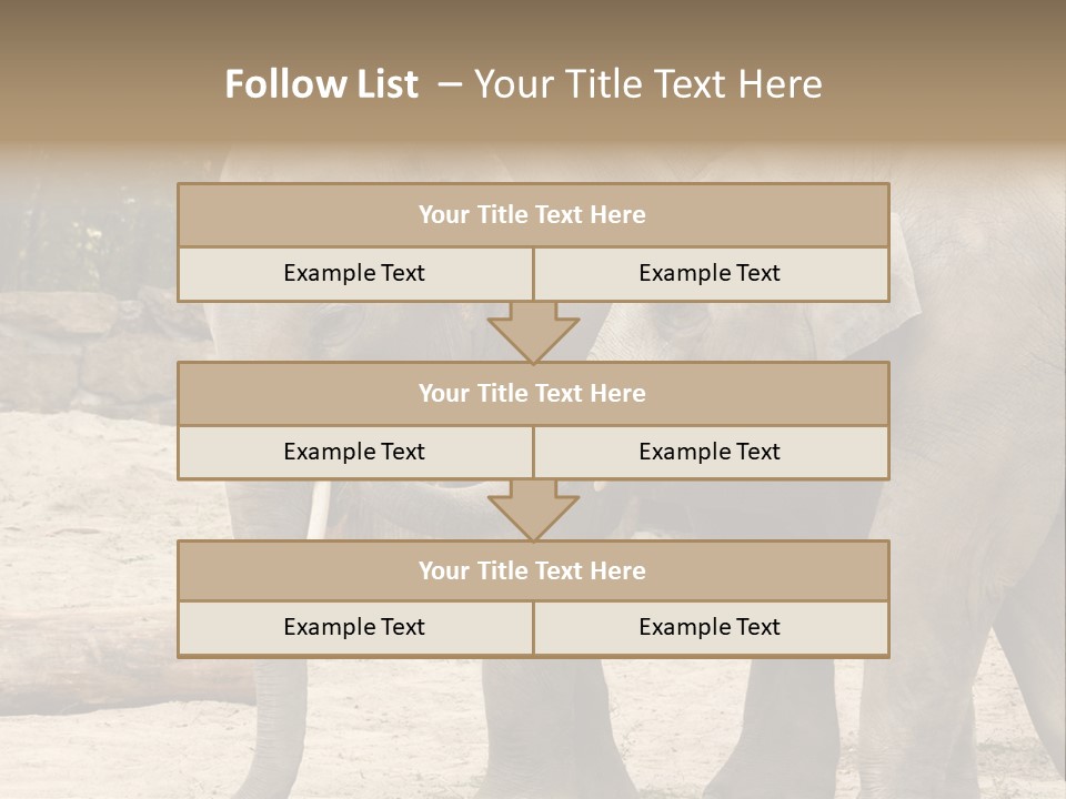 Sand Intelligent Fraternal PowerPoint Template