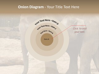 Sand Intelligent Fraternal PowerPoint Template