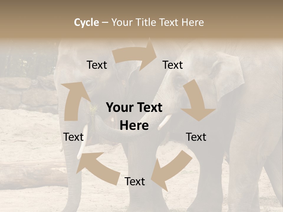 Sand Intelligent Fraternal PowerPoint Template