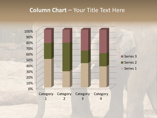 Sand Intelligent Fraternal PowerPoint Template