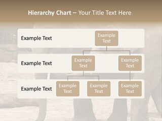 Sand Intelligent Fraternal PowerPoint Template