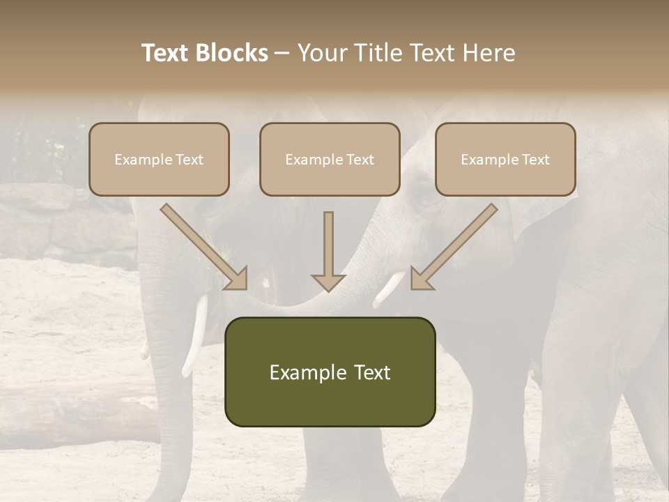 Sand Intelligent Fraternal PowerPoint Template