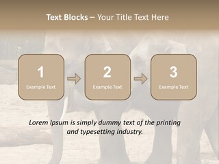 Sand Intelligent Fraternal PowerPoint Template