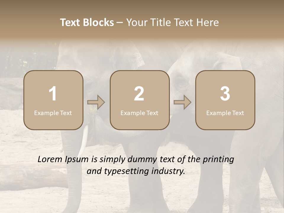 Sand Intelligent Fraternal PowerPoint Template