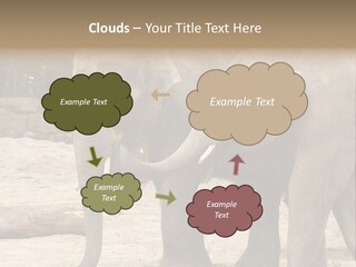 Sand Intelligent Fraternal PowerPoint Template