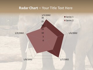 Sand Intelligent Fraternal PowerPoint Template