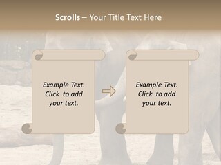 Sand Intelligent Fraternal PowerPoint Template