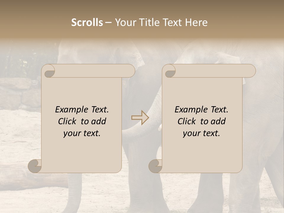 Sand Intelligent Fraternal PowerPoint Template
